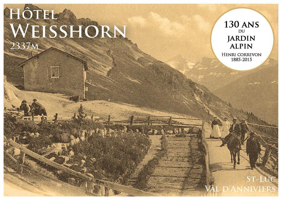 Weisshorn Sur St-luc 2337m Hotel Saint-Luc