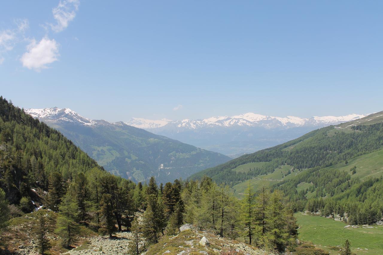 Weisshorn Sur St-luc 2337m Saint-Luc